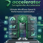 Seraphinite Accelerator